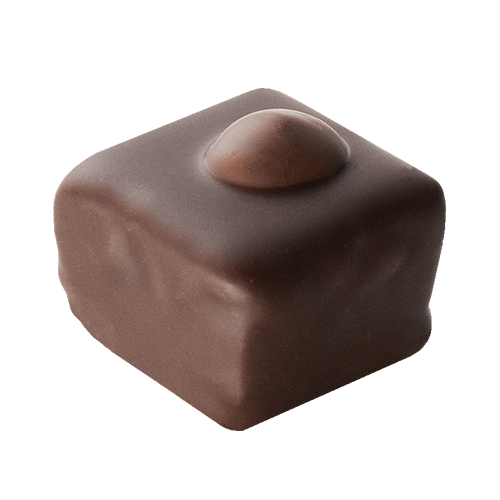 Craqueblanc - chocolat praliné