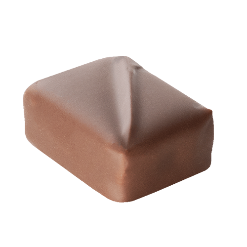 Succès - chocolat au lait praliné
